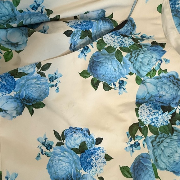 NWT Sachin + Babi Addison Dress, size 10 - Picture 6 of 7